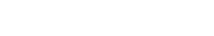 Data Stone logo